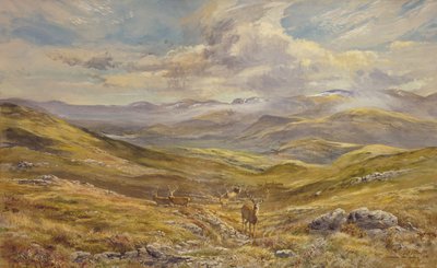 Cairngorms from Kinrara, 1988 by Tim Scott Bolton